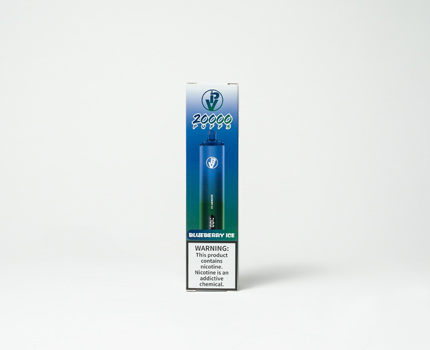 DSC00302 Blueberry Ice Disposable Vape - Image 1