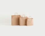 Twisted Handle Kraft Paper Bag Bundle - Image 