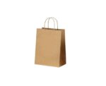 Twisted Handle Kraft Paper Bag Bundle - Image 