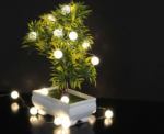 LED Ball Fairy Light DC 3M in Warm White - Image 