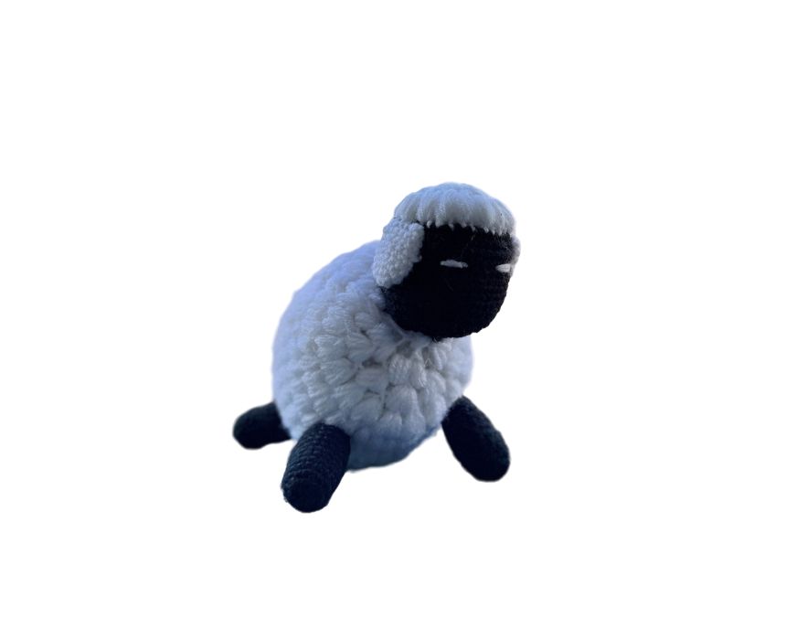 freepik-untitled-project-20250328134500Bt57 Crochet Sheep Baby Toy - Image 1