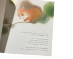 Little Lost Panda Behavior and Feelings Book - Image 