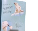 Big Bear Little Bear Softcover Story Book - Image 