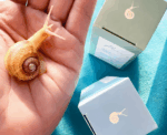 Snail Eye Cream - Image 