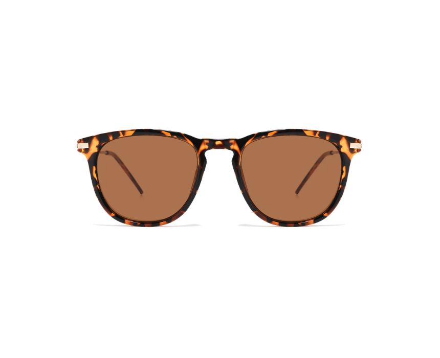 24 Cocoa Luxe Women Sunglasses - Image 1