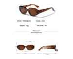 Dion Sunglasses - Image 