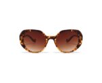 Wild Tortoise Women Sunglasses - Image 