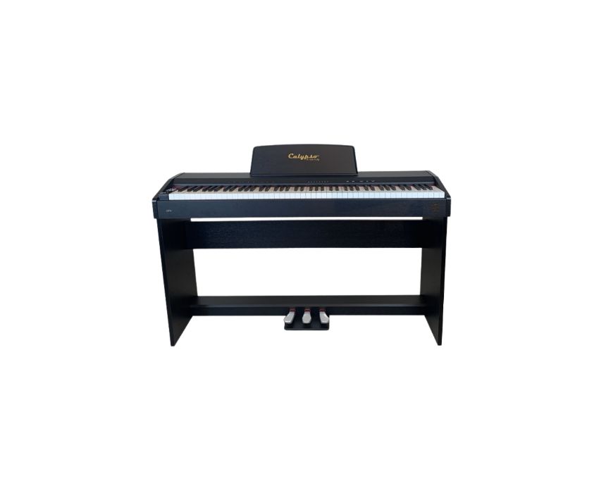 60 Calypso DP4 Electric Piano - Image 1