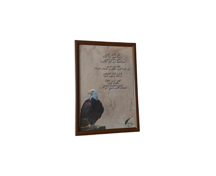1 Eagle Bible Verse A4 Frame - Image 1
