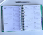 Wellness Yearly Planner - Image 