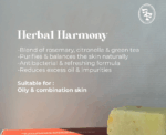 Herbal Harmony Soap - Image 