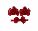 Burgundy Floral Set 0–6M - Image 