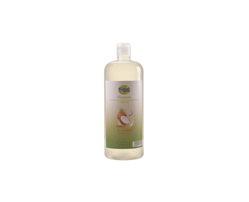 19 Coconut Hair Shampoo - Image 1