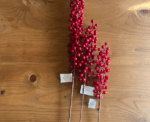Christmas Red Berries Branches - Image 