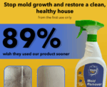 Wash Pro Mold Remover Spray - Image 