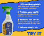 Wash Pro Mold Remover Spray - Image 