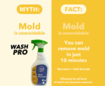 Wash Pro Mold Remover Spray - Image 