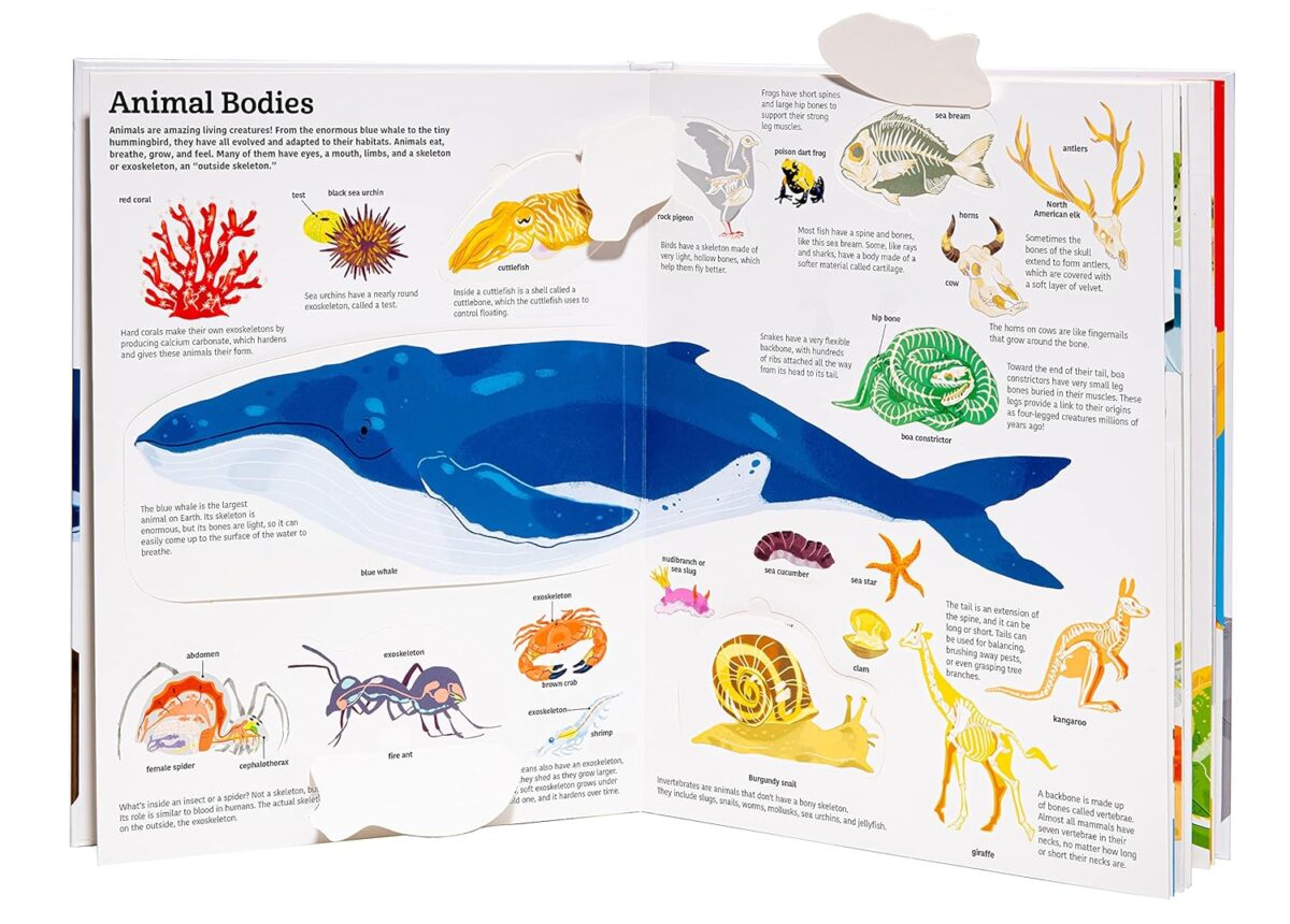 The Ultimate Book of Animals - Image 