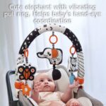 Black and White Visual Stimulation Baby Arch Toy - Image 