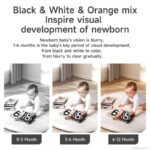 Black and White Soft Flash Cards and Rattles Set - Image 