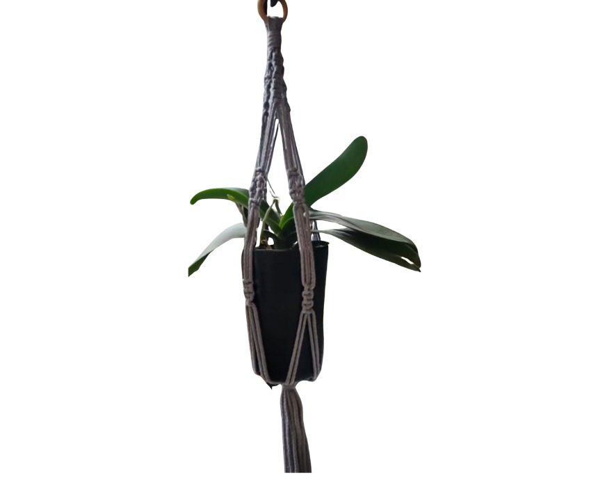 Plant Hanger - Image 1
