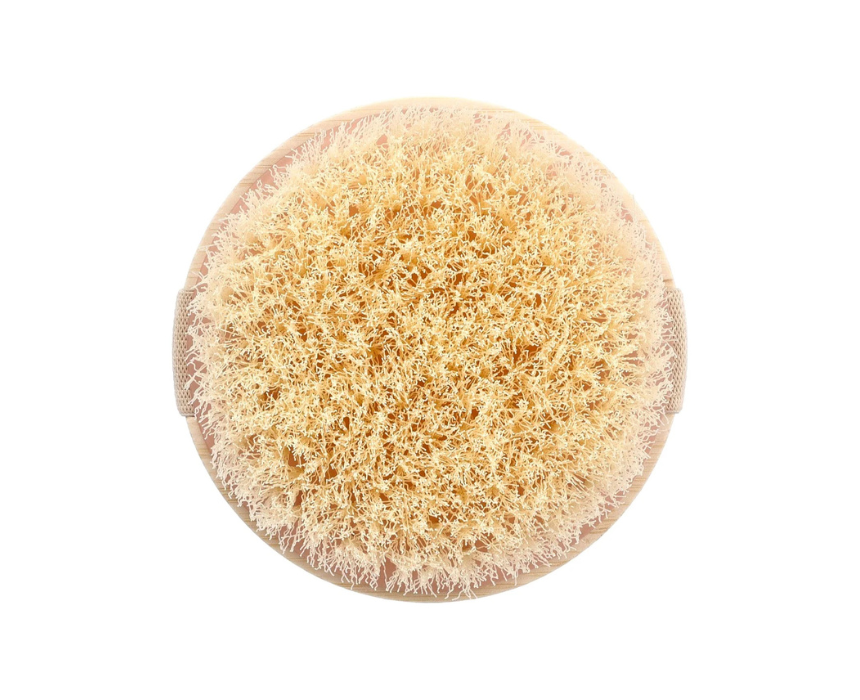 EcoTools Dry Body Brush - Image 1