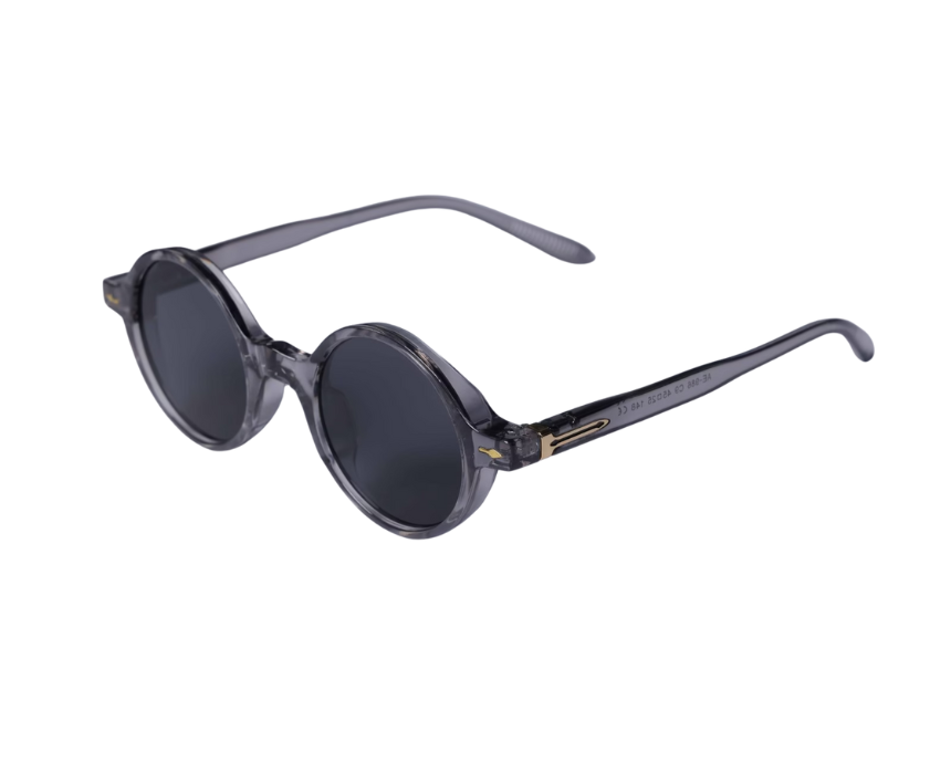 ash finished Ash Sunglasses in Gray - Image 1