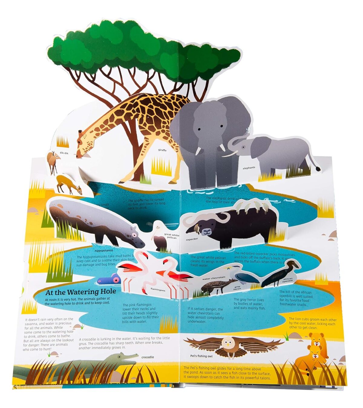 Ultimate Spotlight Savanna Animals Book - Image 