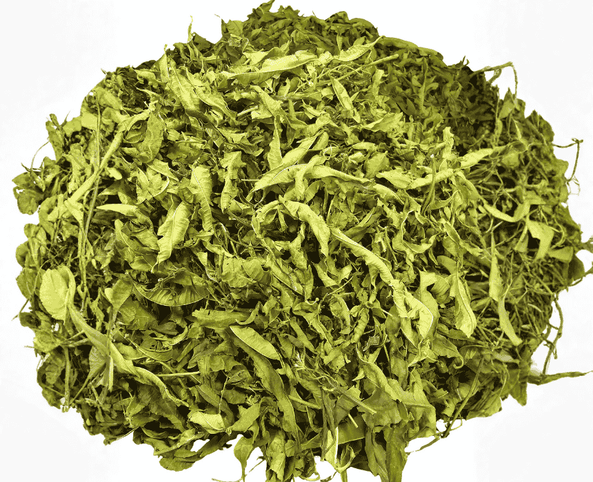 lemon balm Lemon Balm - Image 1