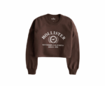 Hollister Graphic Sweatshirt in Brown - Image 