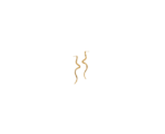 Golden Curve Earrings - Image 