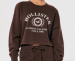Hollister Graphic Sweatshirt in Brown - Image 