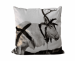 Decorative Cushions & Throw Pillows - Image 