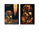 Golden Retriever Scratch Painting Paper Set Large - Image 