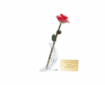 24k Gold Dipped Rose - Image 
