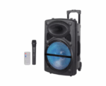 Speaker W 12D12 Wireless - Image 