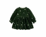 Velvet Dress in Green - Image 