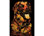 Golden Retriever Scratch Painting Paper Set Large - Image 