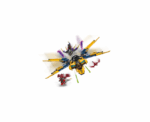 Ras and Arin's Super Storm Jet (71833) - Image 