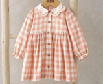 Gingham Embroidered Collar Dress - Image 