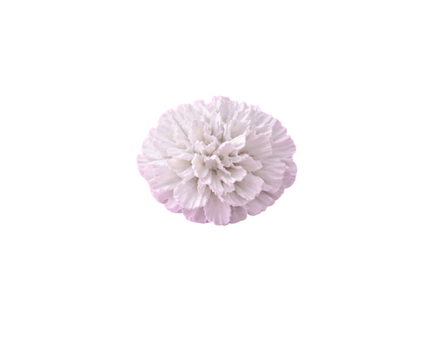 Untitled design (6) Carnation Bloom Eternal Love - Image 1