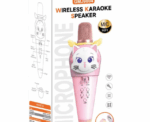 Karaoke Microphone - Image 