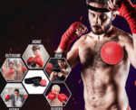 Boxing Head Reflex Ball - Image 