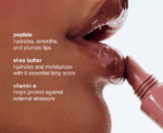 Peptide Lip Tint Nourishing Glaze Toast Rhode - Image 