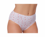 Women Medium Waist Cotton Briefs - Image 