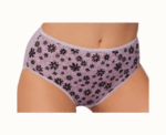 Women Cotton High Waist Brief - Image 