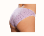Women Cotton Brief - Image 