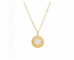 Snowflake Coin Enamel Necklace - Image 