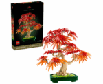 JAPANESE MAPLE TREE 10348 - Image 