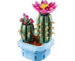 Flowering Cactus 11509 - Image 